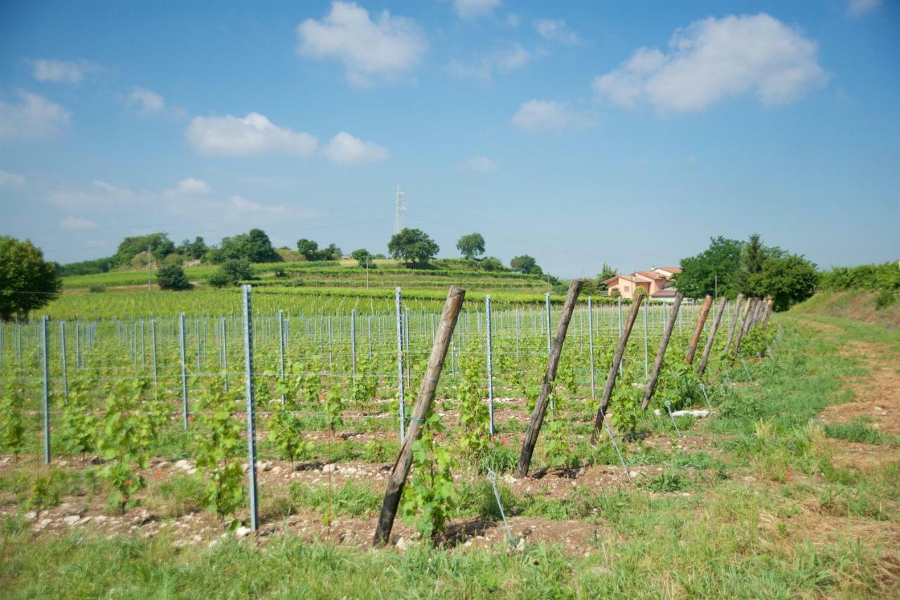 Agriturismo Albarello 索纳 外观 照片