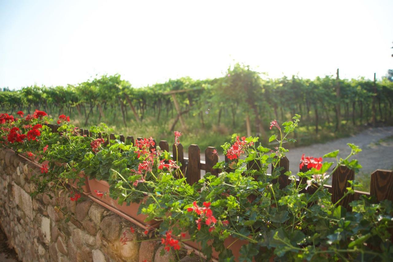 Agriturismo Albarello 索纳 外观 照片